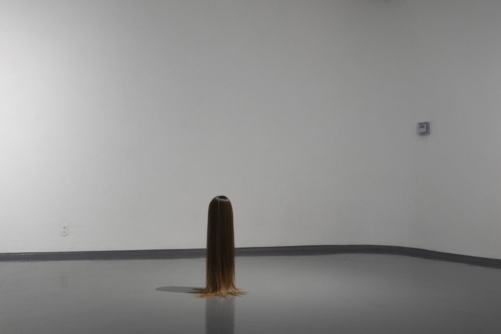 Roberto Barbosa Artist