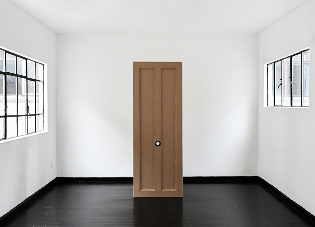 Roberto Barbosa Artist